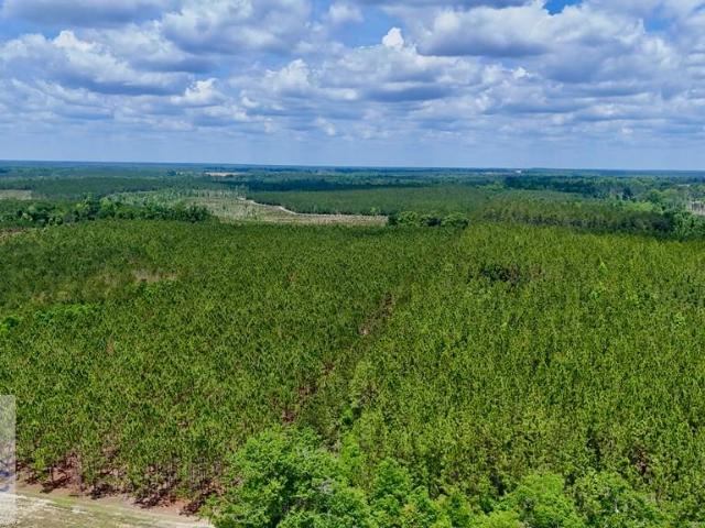 Land for sale in Georgia