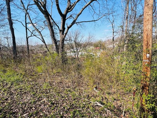 Land for sale in Tennessee