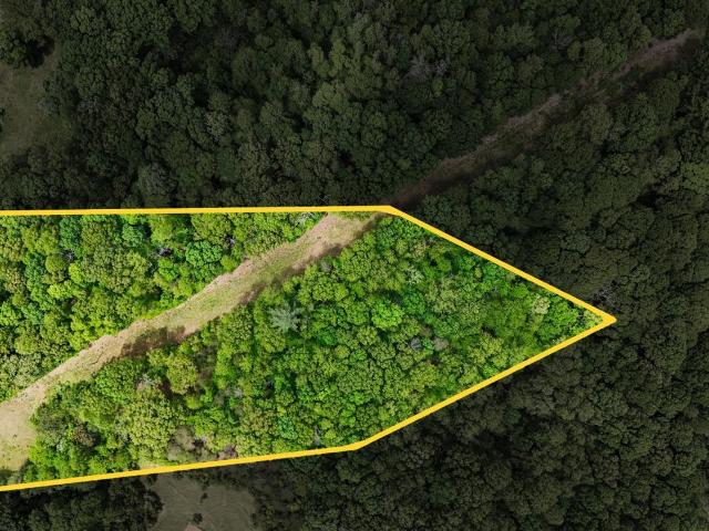Land for sale in Virginia