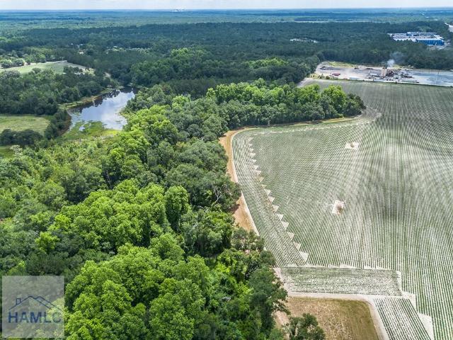 Land for sale in Odum, Georgia