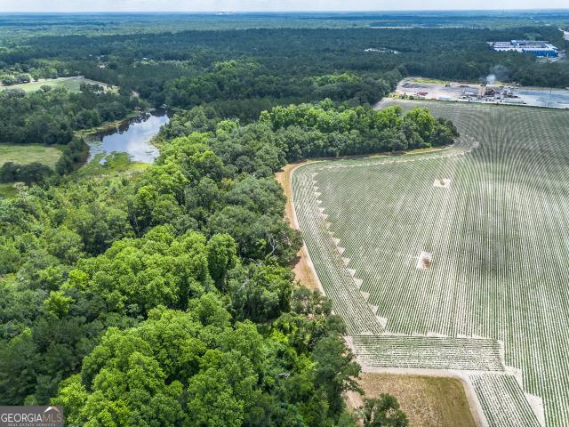 Land for sale in Odum, Georgia