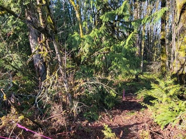 Land for sale in Manchester