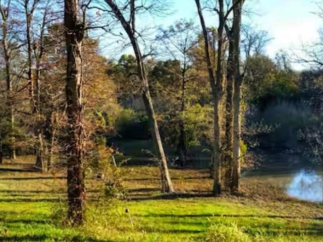 Land for sale in Coahoma, Mississippi