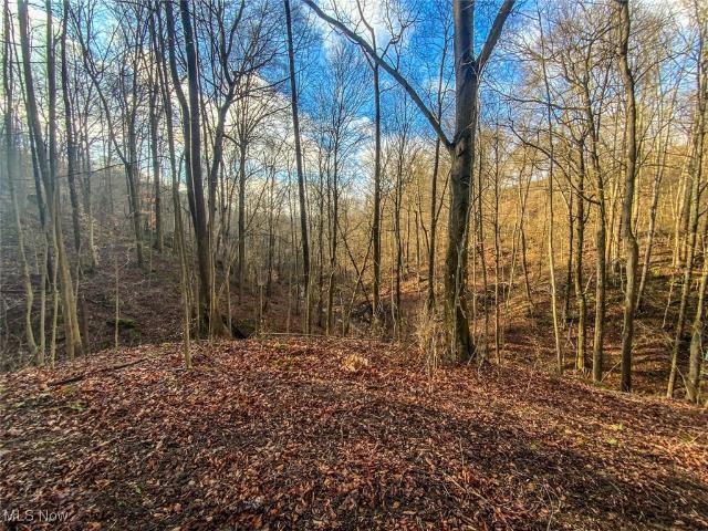Land for sale in Belmont, Ohio