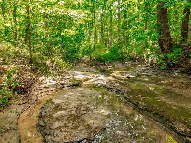 Land for sale in Tennessee