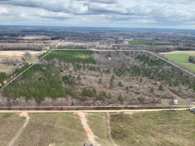 Land for sale in Geneva, Alabama