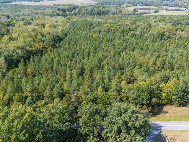 Land for sale in Forest, Bedford County