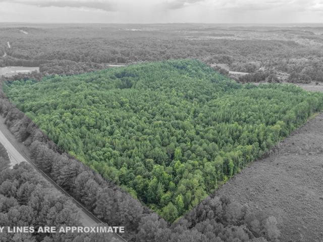 Land for sale in Parrish, Alabama