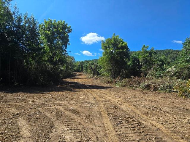 Land for sale in Tennessee