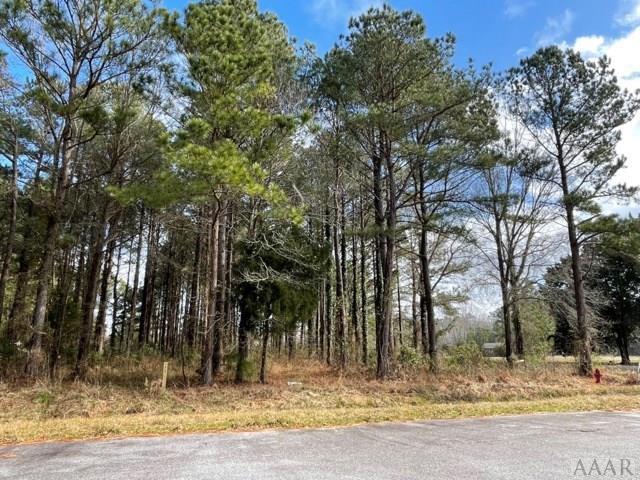 Land for sale in Columbia, North Carolina