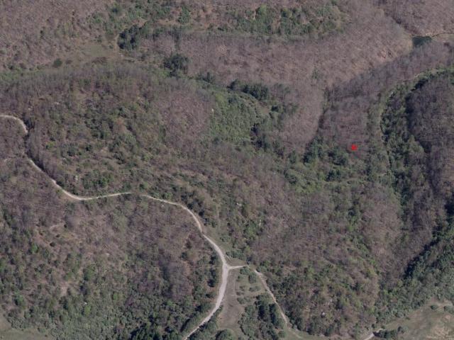 Land for sale in Inez, Kentucky