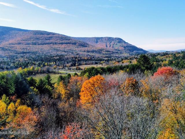 Land for sale in East Jewett, New York
