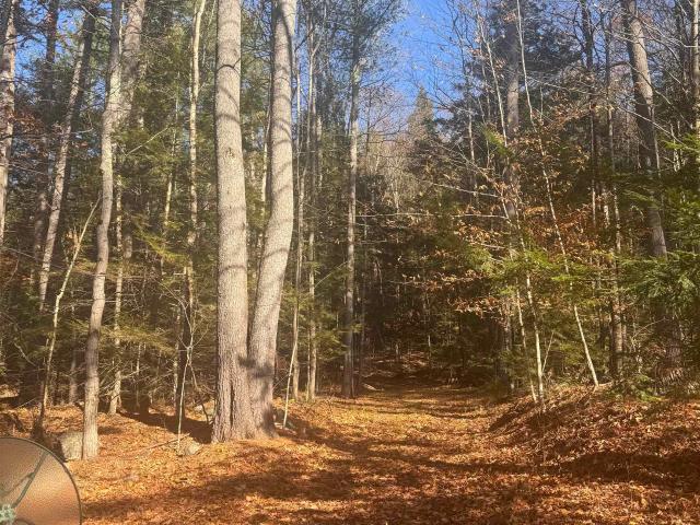 Land for sale in New Hampshire