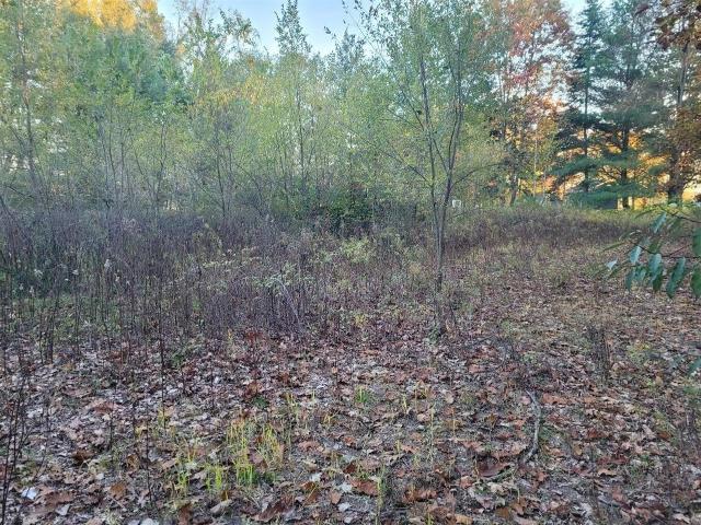 Land for sale in Coral, Maple Valley Township