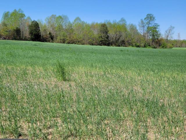 Land for sale in Virginia