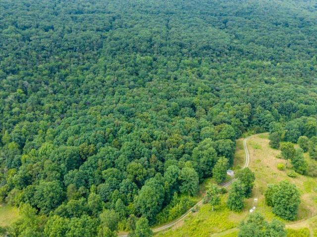 Land for sale in Rising Fawn, Georgia
