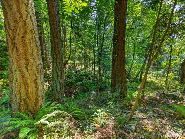 Land for sale in Anacortes, Washington