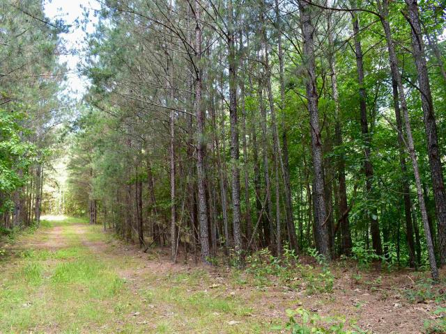 Land for sale in Gordon, Georgia