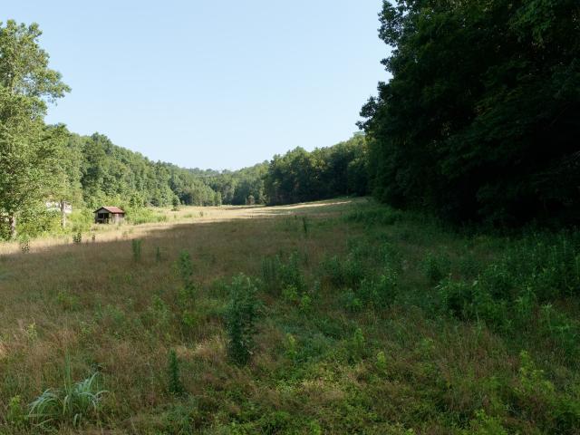 Land for sale in Tennessee