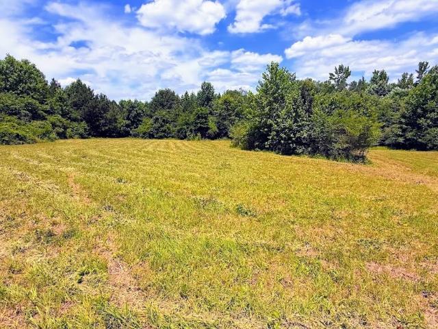 Land for sale in Haralson, Georgia