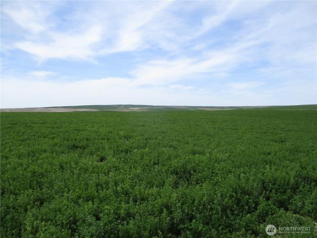 Land for sale in Touchet, Washington