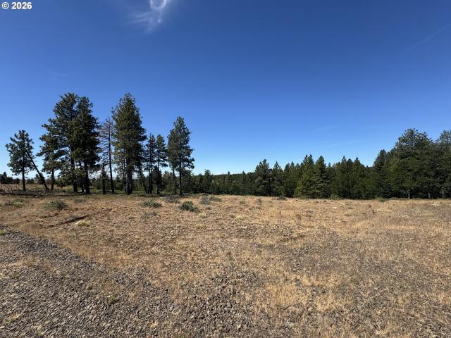 Land for sale in Roosevelt, Washington