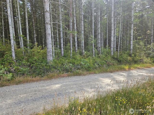 Land for sale in Quilcene, Washington