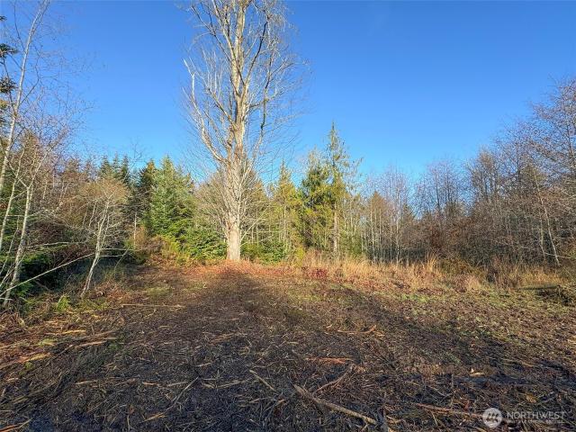 Land for sale in Port Angeles, Washington