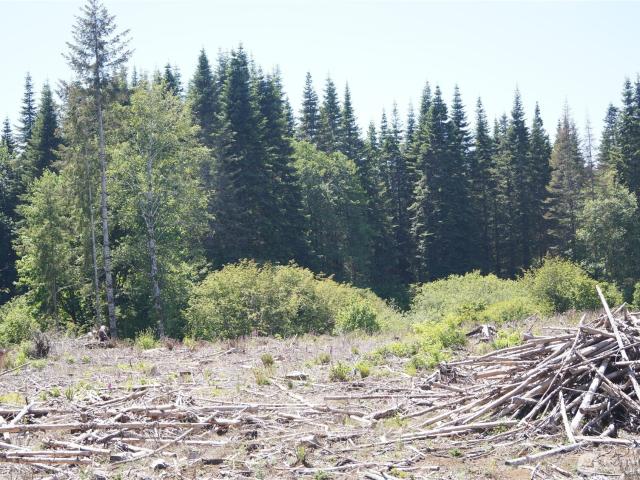 Land for sale in Cosmopolis, Washington