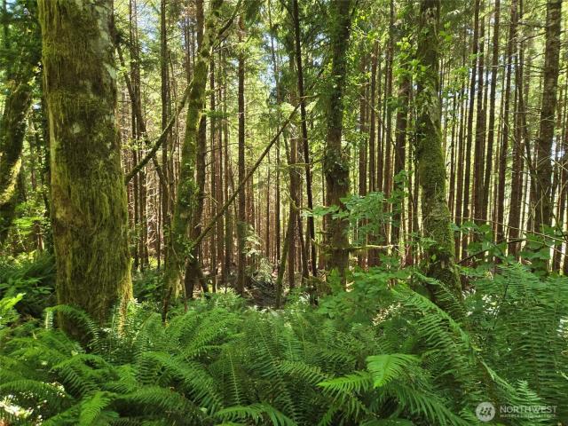 Land for sale in Hoquiam, Washington