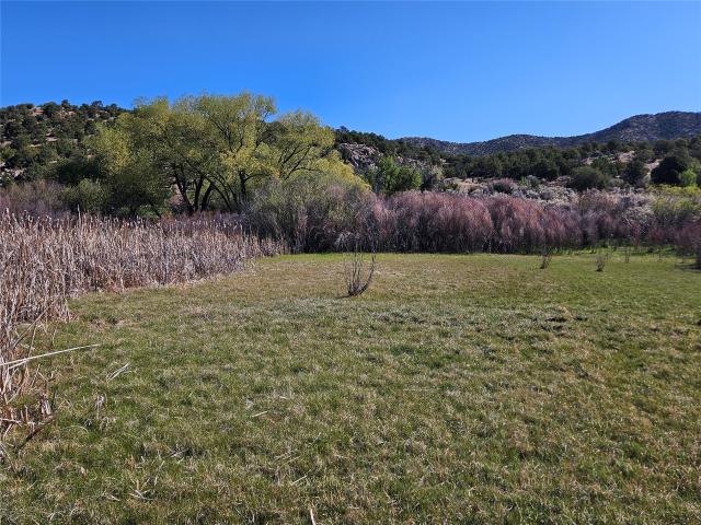 Land for sale in New Mexico