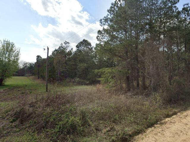 Land for sale in Dodge, Georgia