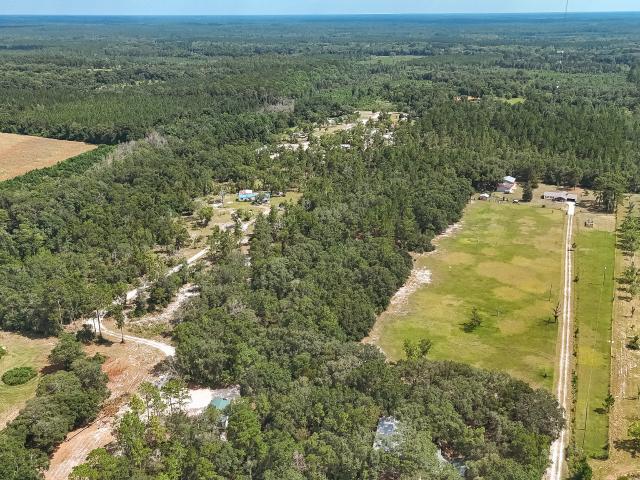 Land for sale in Pierce, Georgia
