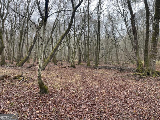 Land for sale in Franklin, Georgia
