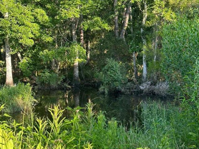 Land for sale in Foley, Alabama