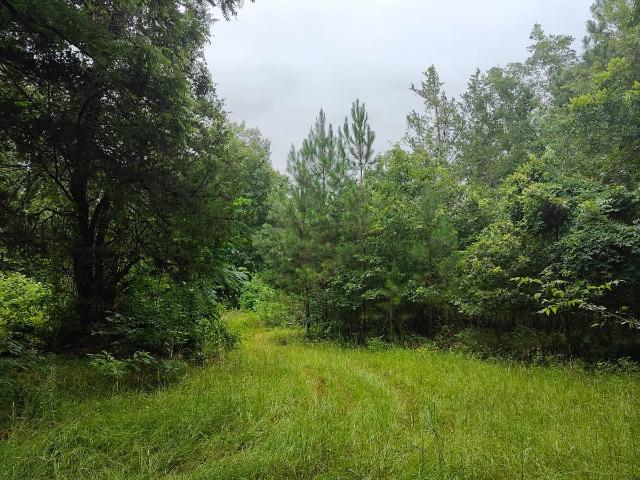 Land for sale in Talbot, Georgia