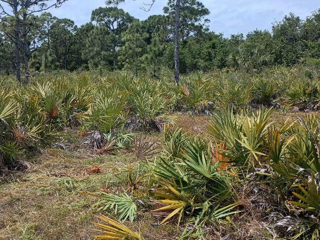 Land for sale in Grant, Florida