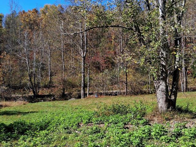 Land for sale in Virginia