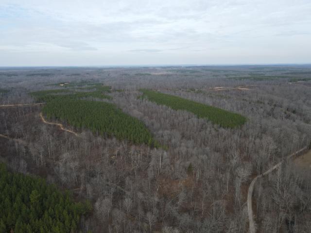 Land for sale in Tennessee