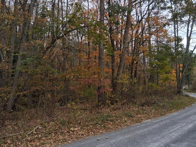 Land for sale in Virginia