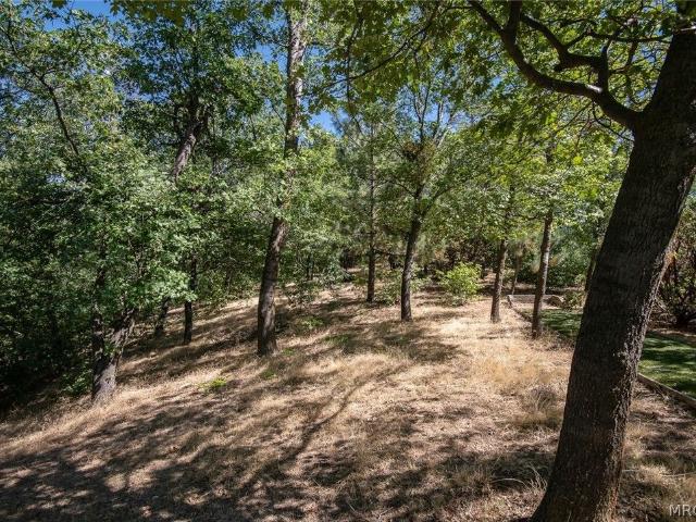 Property for sale in Cedar Glen, California