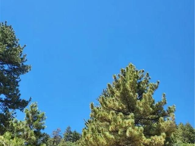 Land for sale in Fawnskin, California
