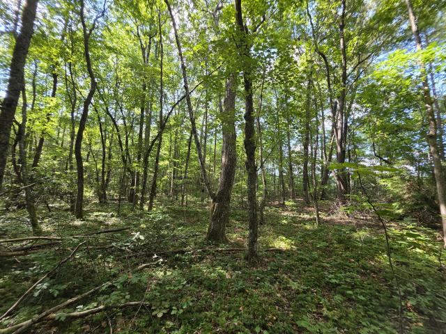 Land for sale in Tennessee