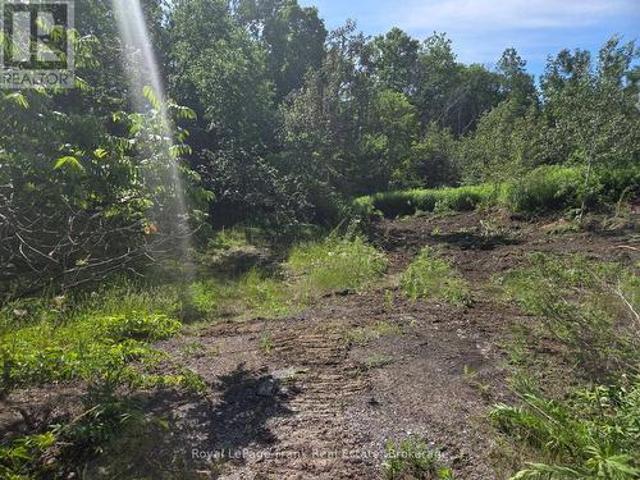 Land for sale in Buckhorn, Trent Lakes