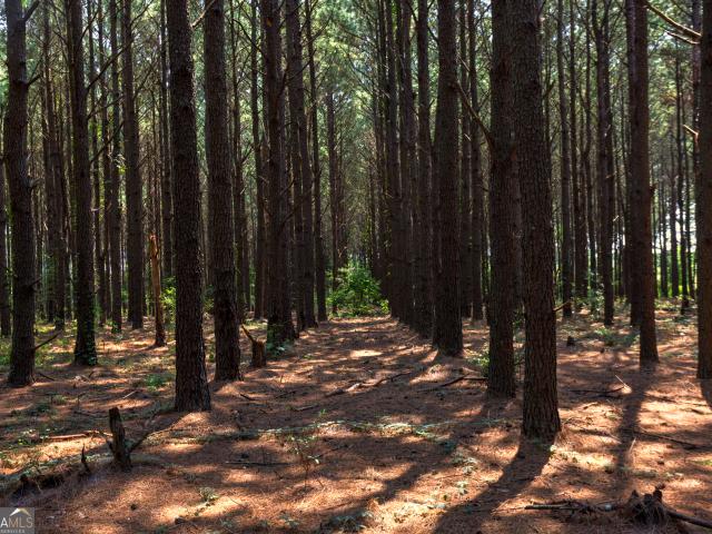 Land for sale in Unadilla, Georgia
