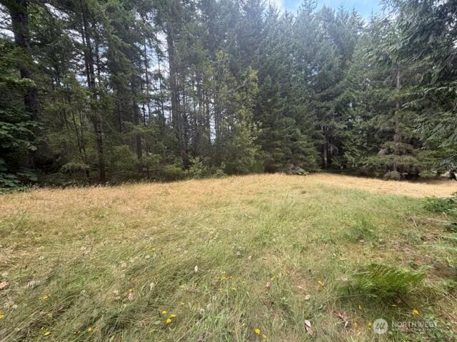 Land for sale in Washington