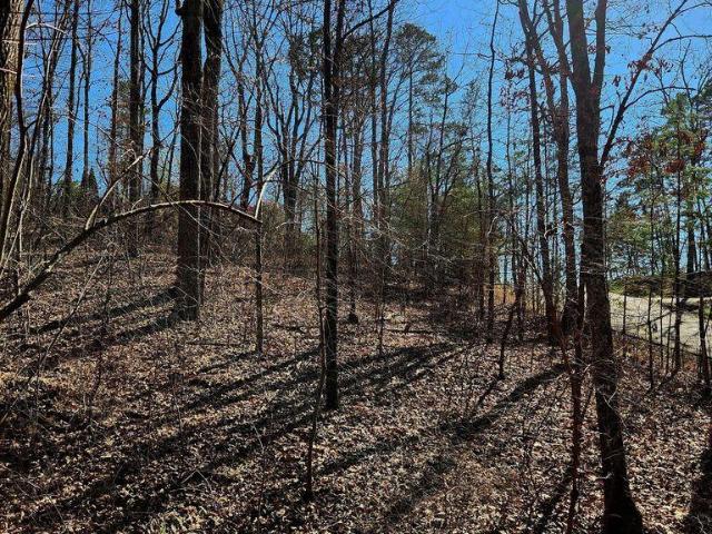 Land for sale in Trenton, Dade County