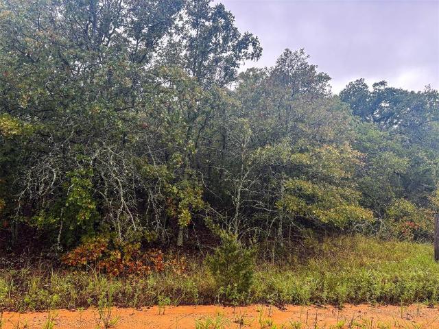 Land for sale in Wewoka, Oklahoma