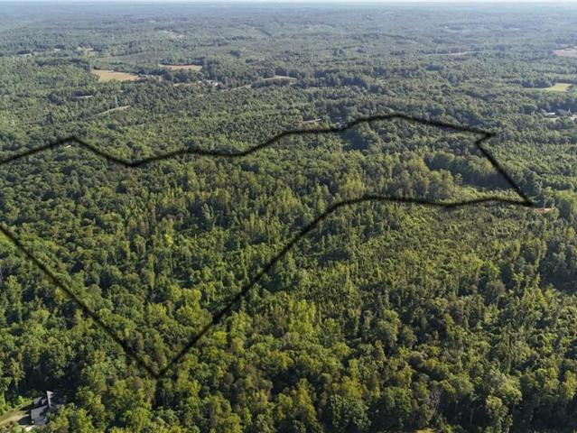 Land for sale in Reidsville, North Carolina