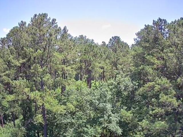 Land for sale in Reevesville, South Carolina